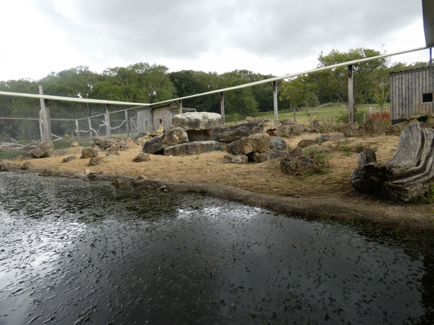 Pallas' Cat enclosure (2)