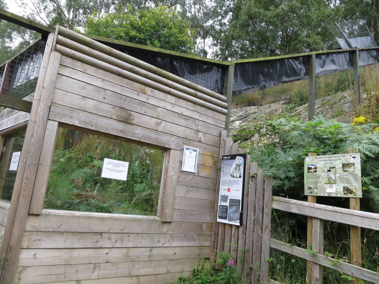 Pallas Cat enclosure 250815