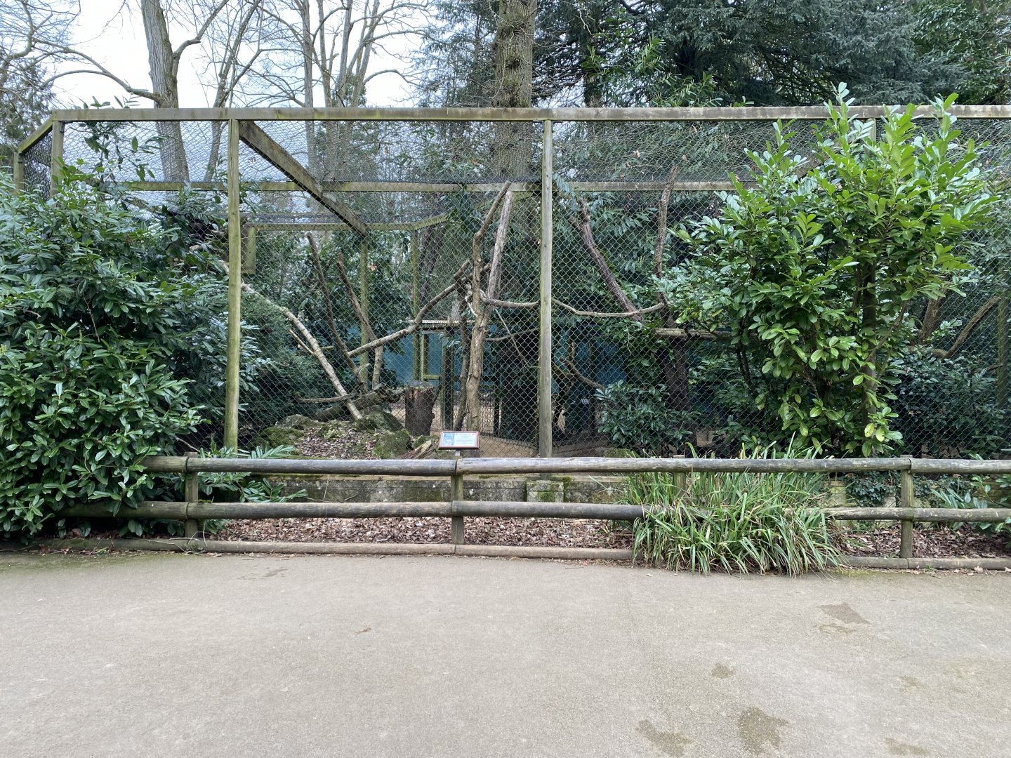 Pallas' cat enclosure 280222