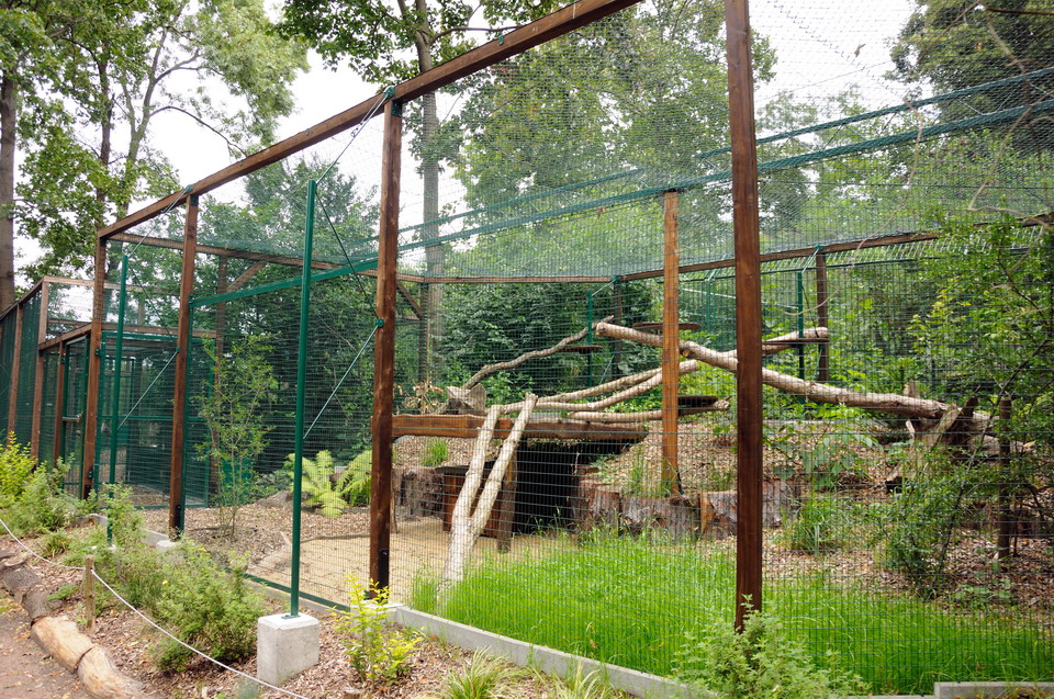 Pallas cat enclosure at Dessau