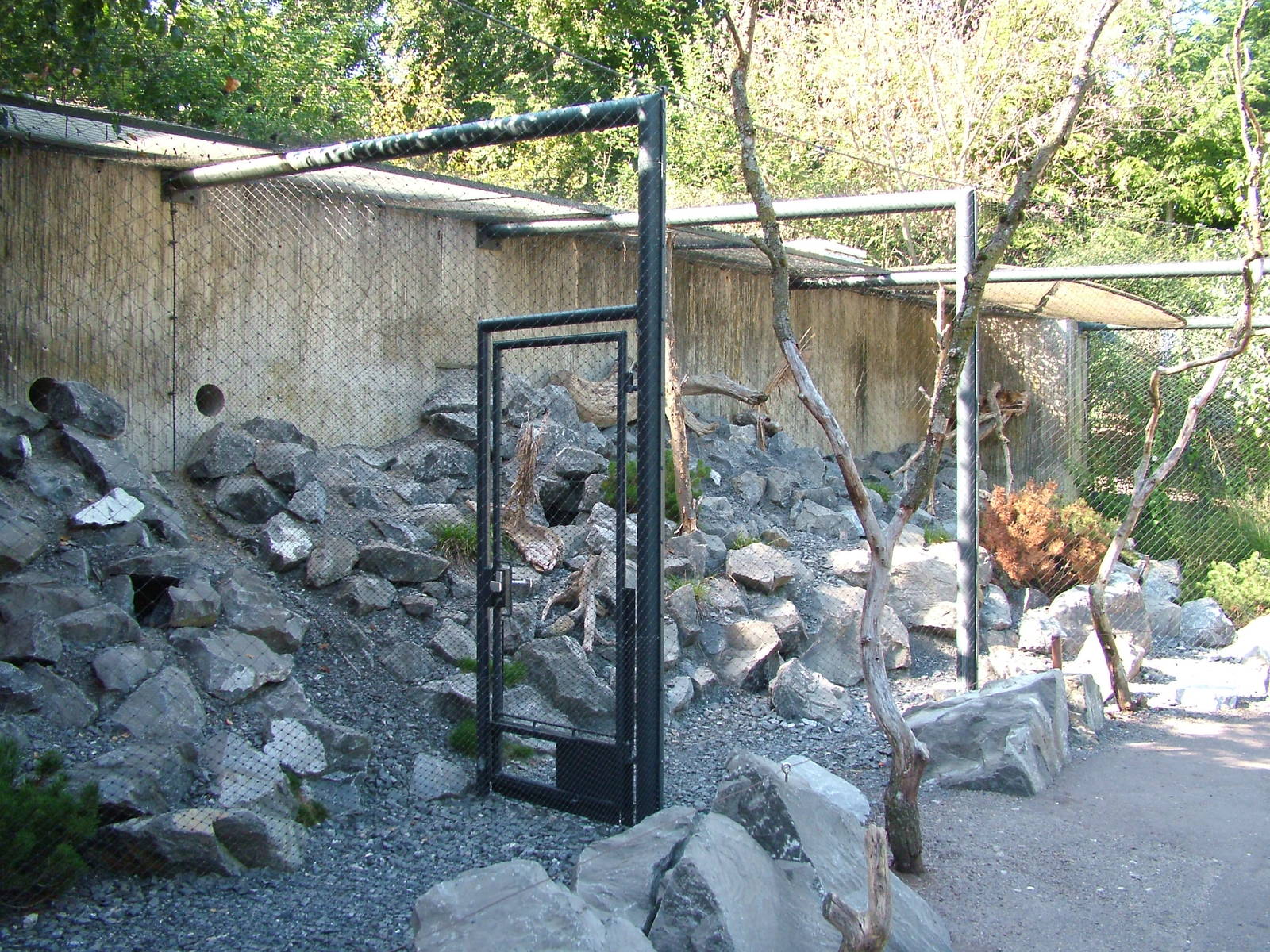 Pallas Cat enclosure at Zurich 31/08/09