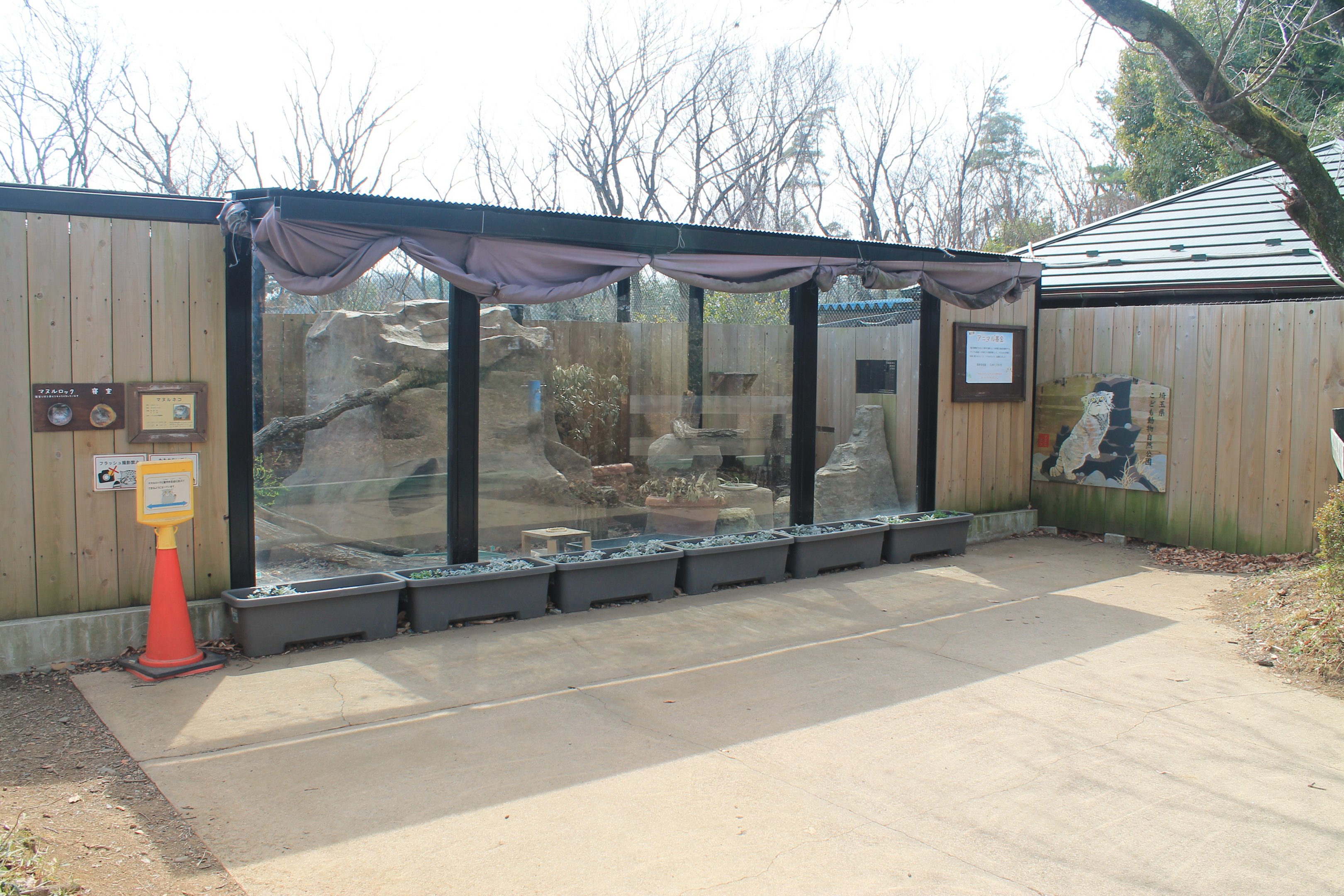 Pallas' Cat enclosure - Saitama Childrens Zoo