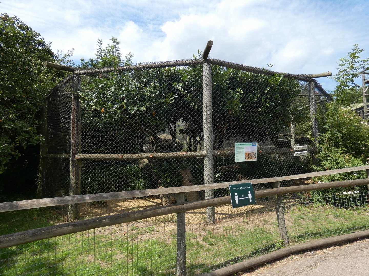 Pallas Cat enclosure