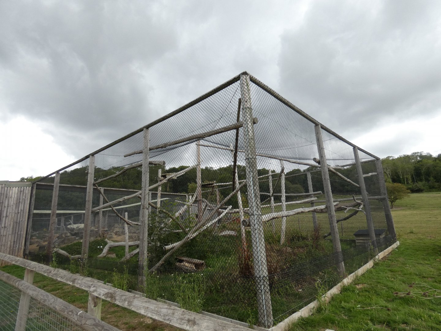 Pallas' Cat enclosure