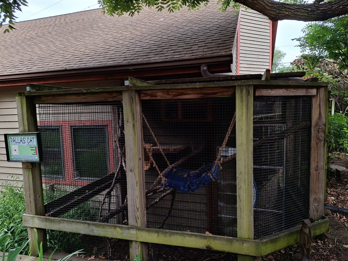 Pallas Cat enclosure