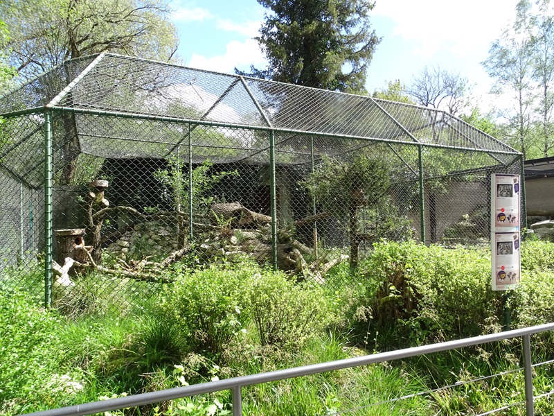 Pallas' cat enclosure