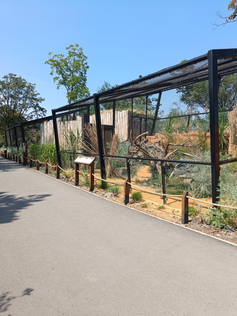 Pallas' Cat enclosures - Gobi