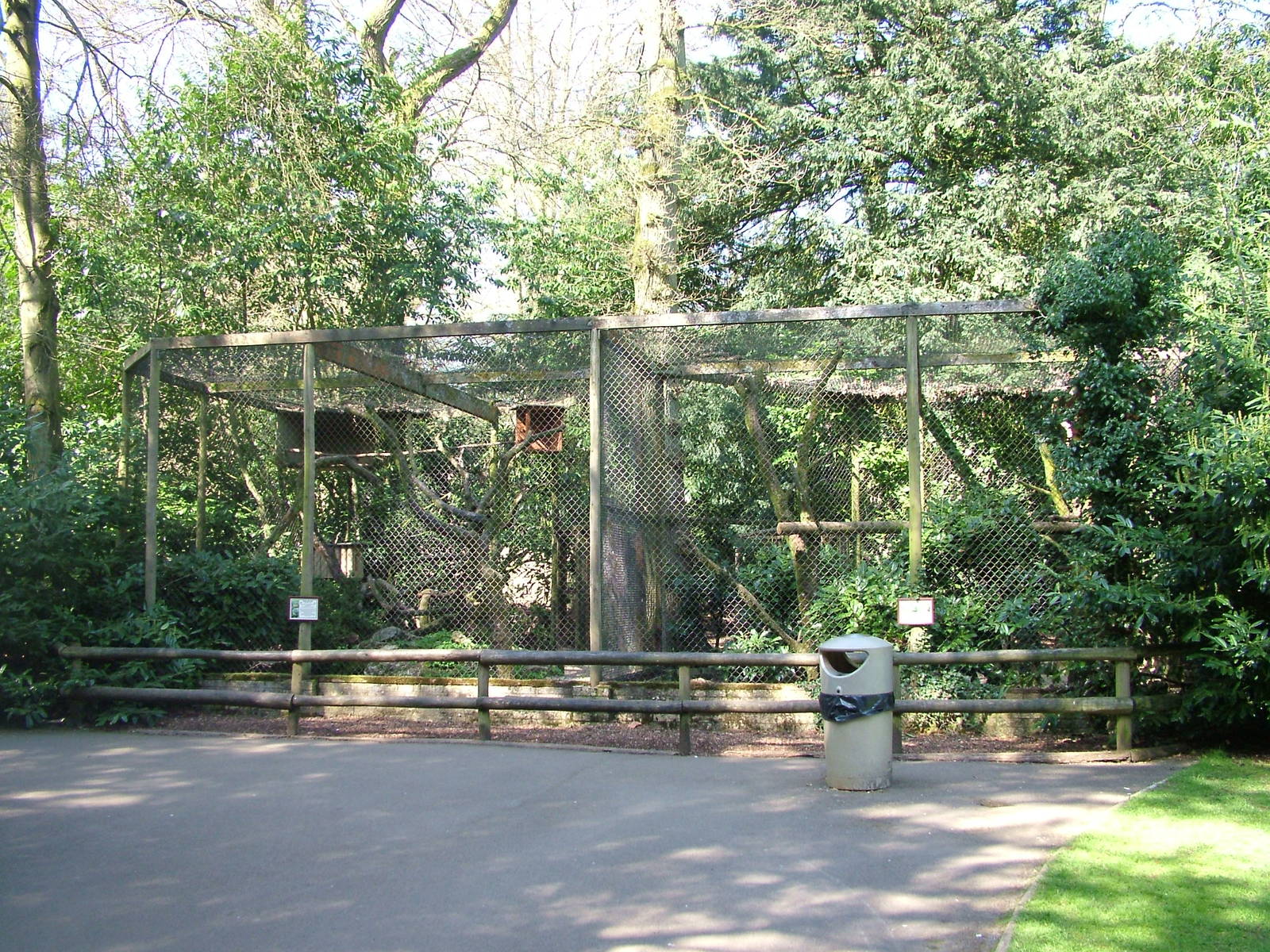 Pallas Cat exhibit at Cotswold WP 17/04/10