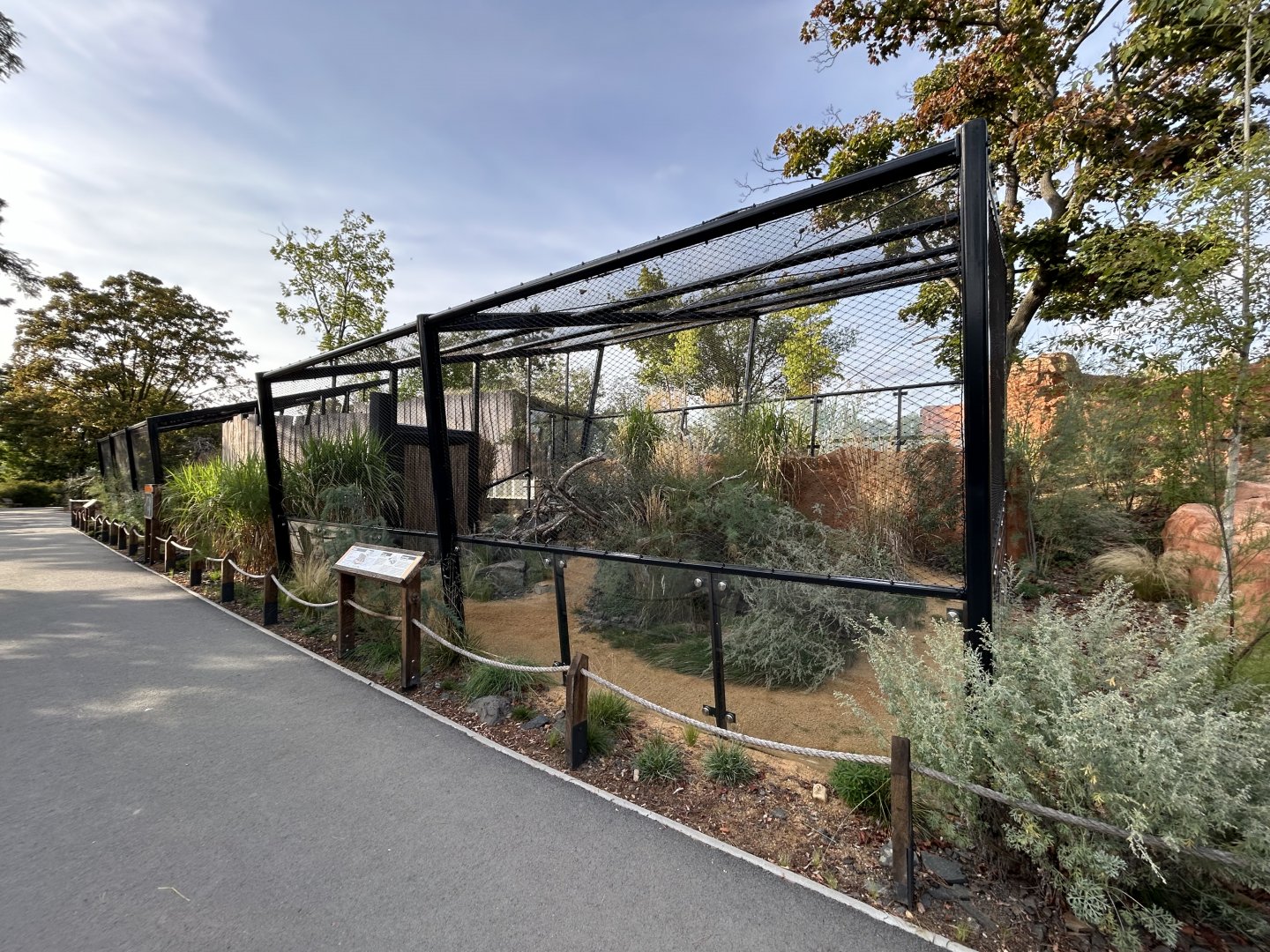 Pallas’ Cat Exhibit - Gobi