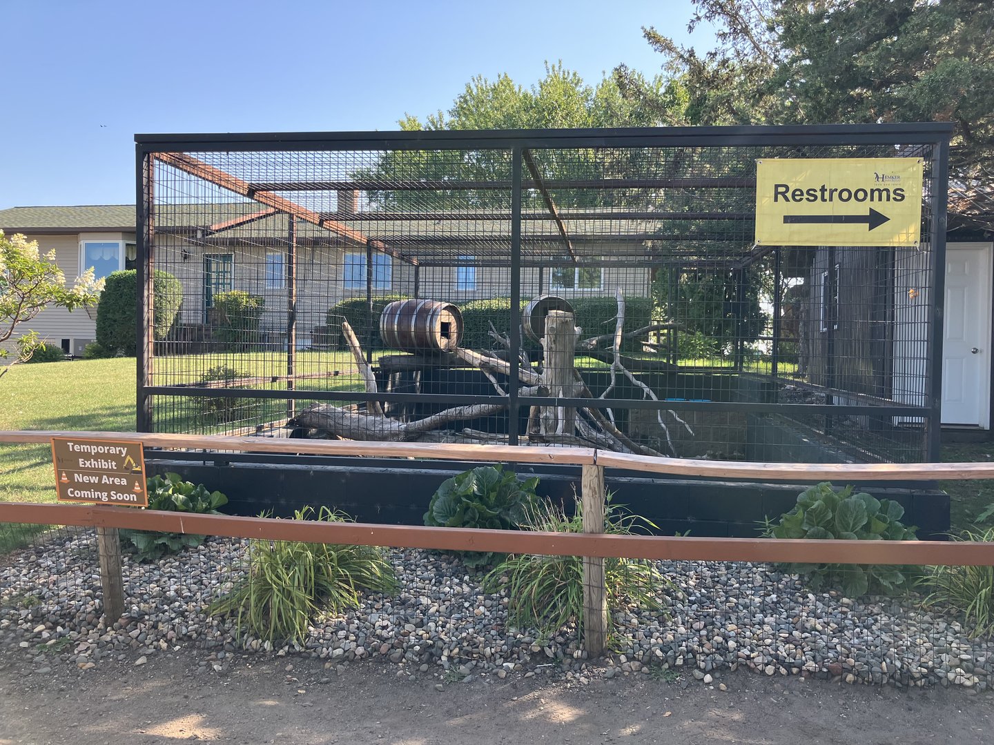 Pallas Cat Exhibit (Temporary)