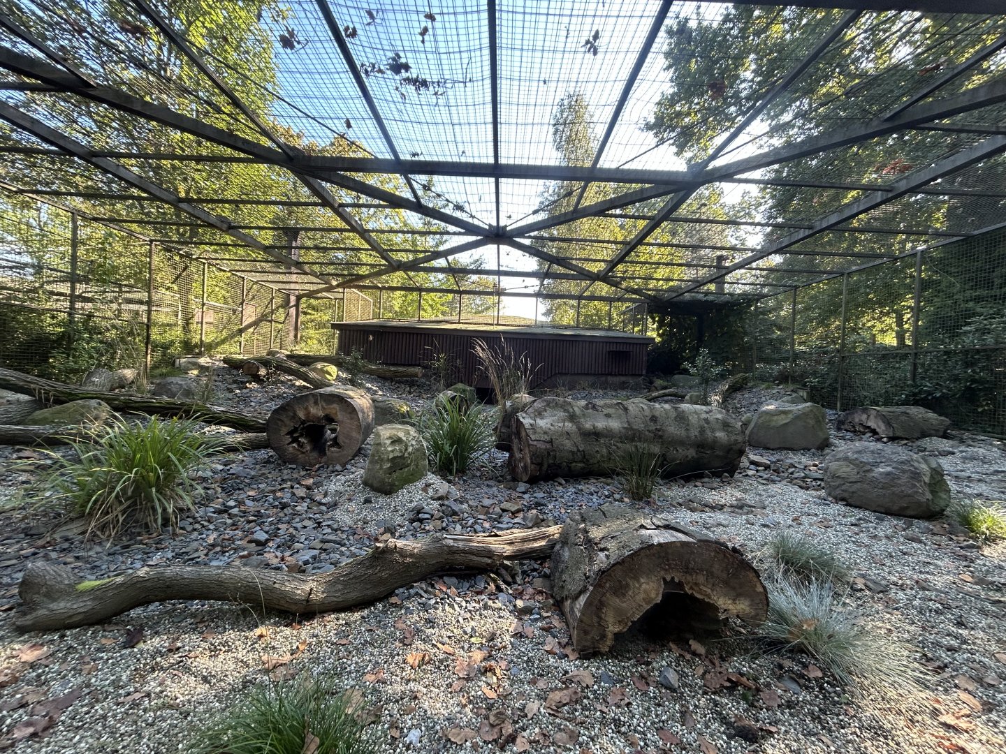 Pallas’ Cat Exhibit