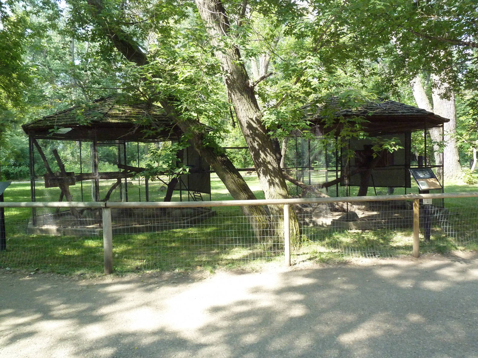 Pallas' Cat Exhibits (adjoining cages)