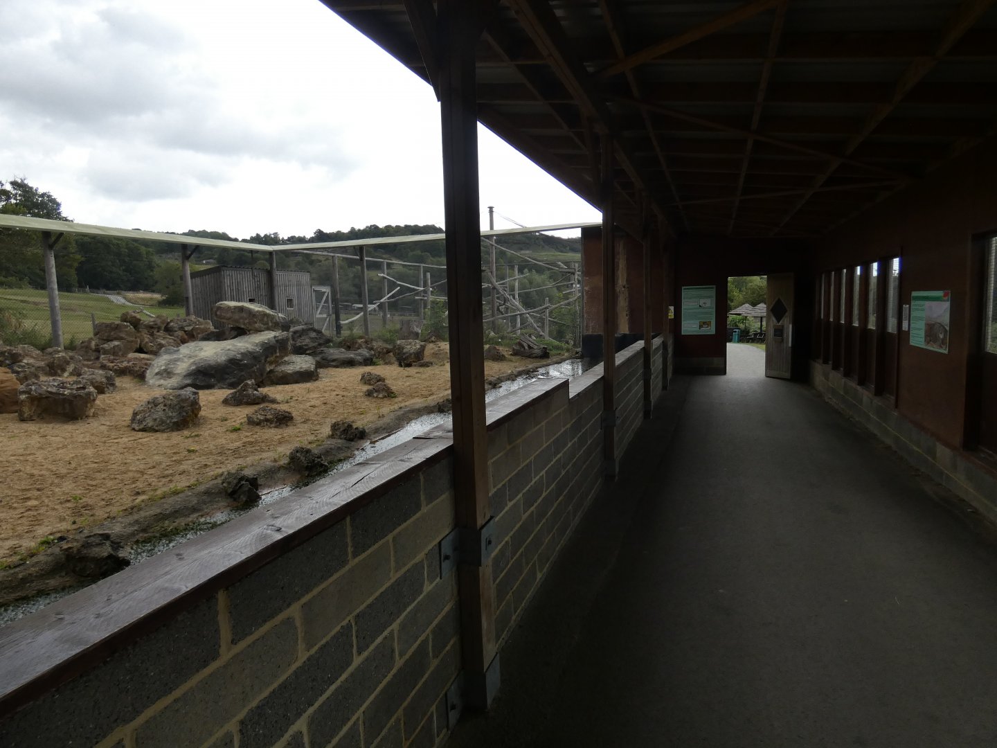 Pallas' Cat viewing area