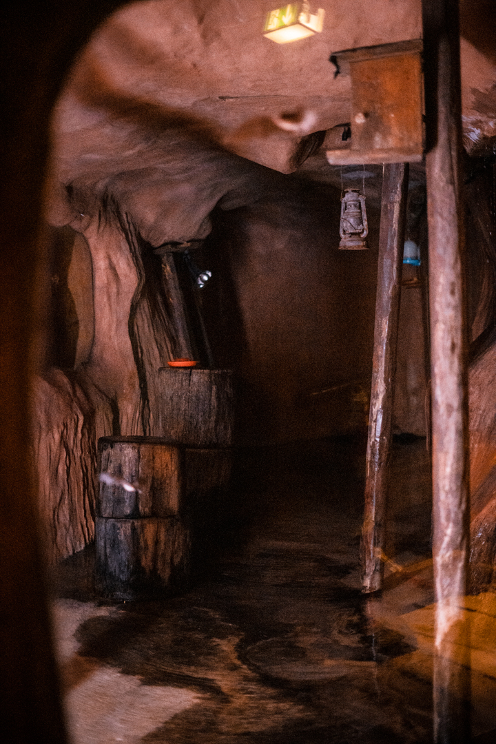 Pallas' Long-Tongued Bat