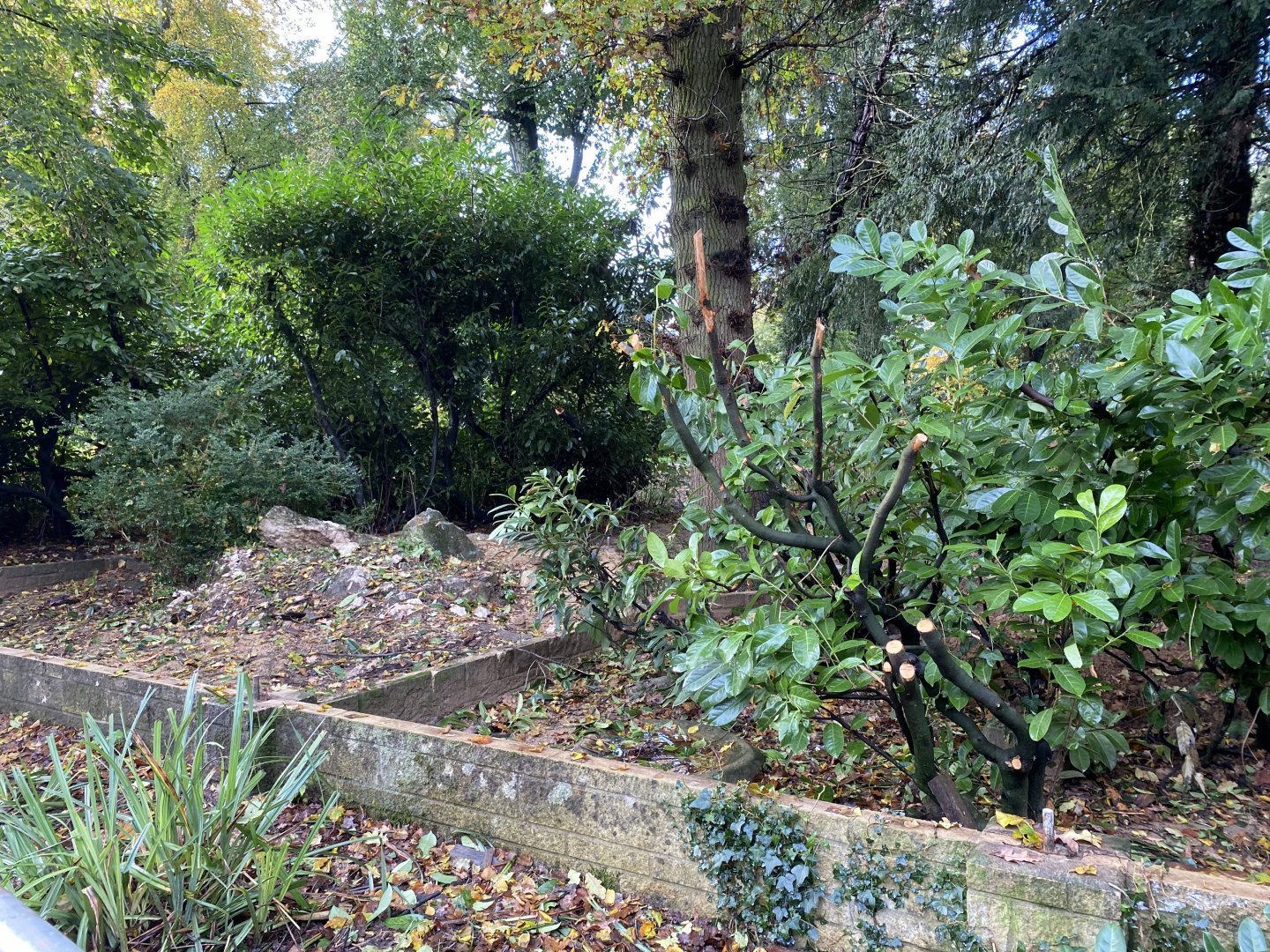 Pallas’s cat enclosure demolition, CWP