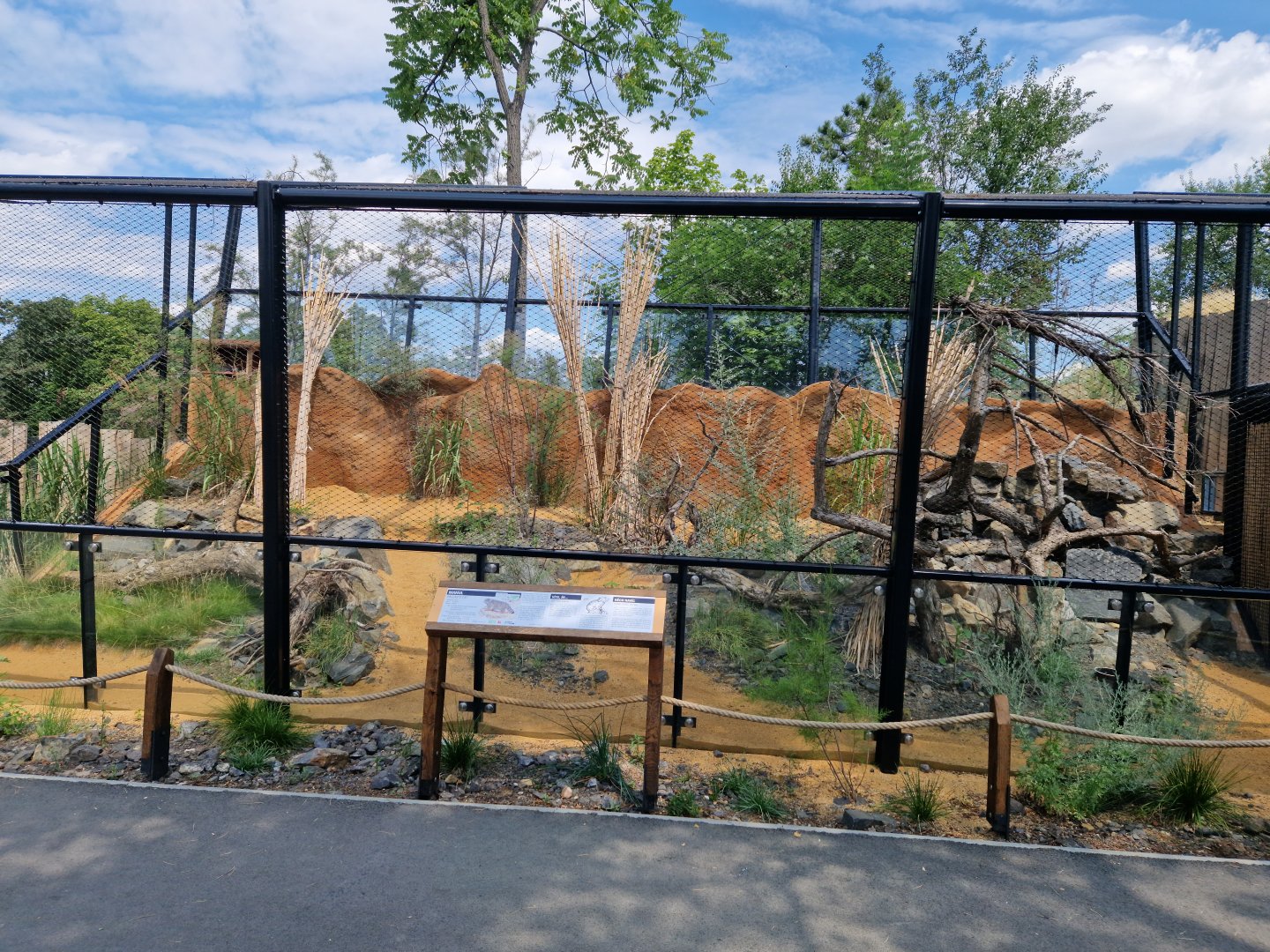 Pallas's cat enclosure (left)