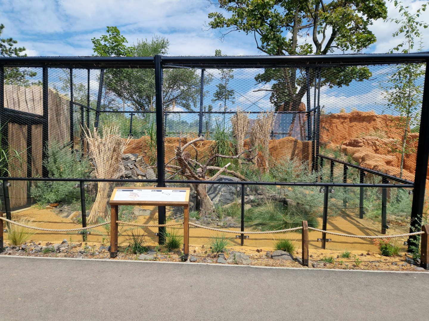 Pallas's cat enclosure (right)