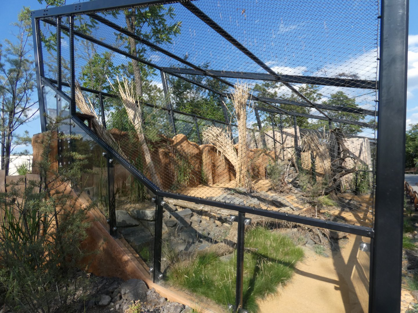 Pallas's cat enclosure sideview