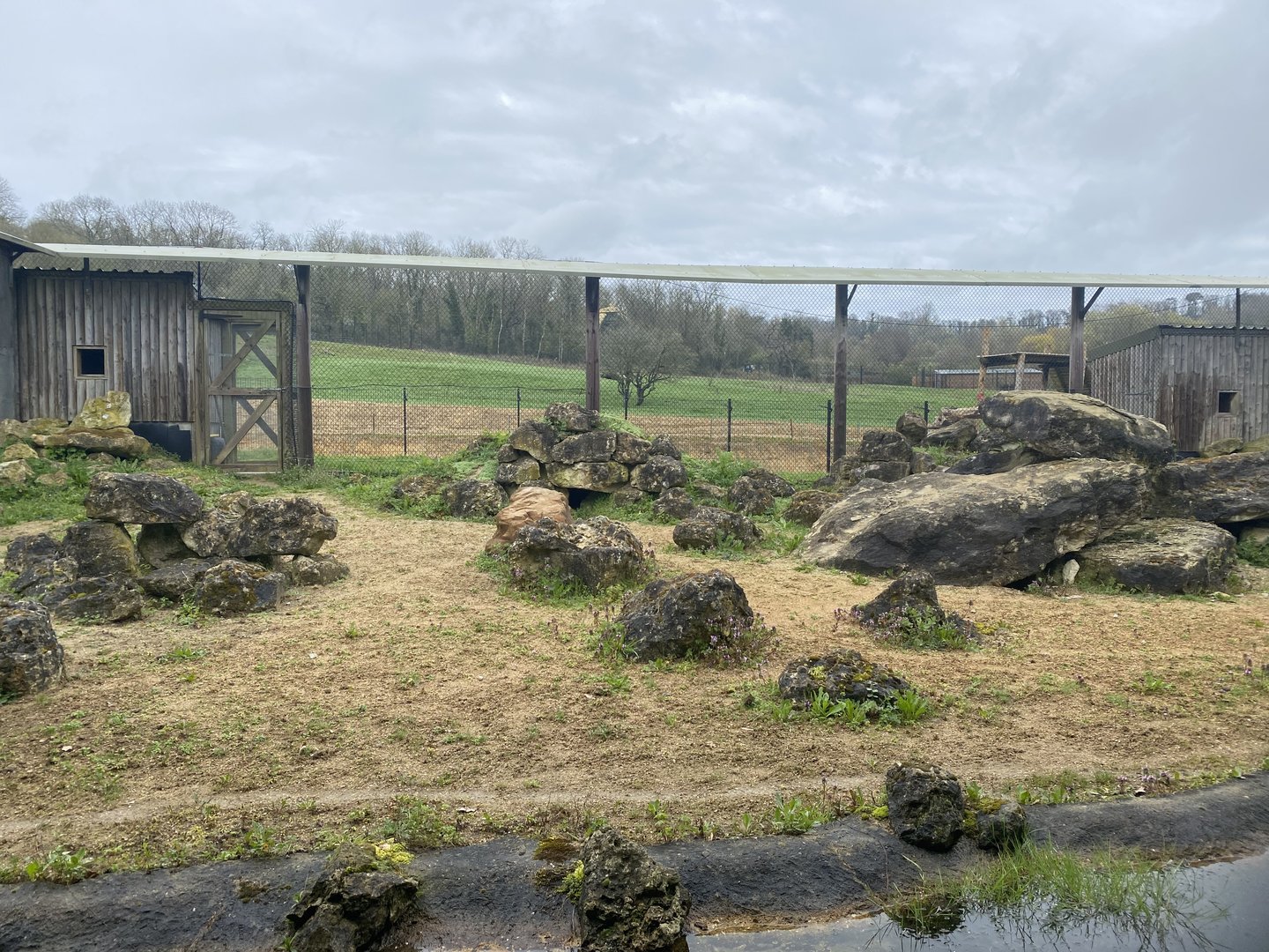 Pallas’s Cat Enclosure