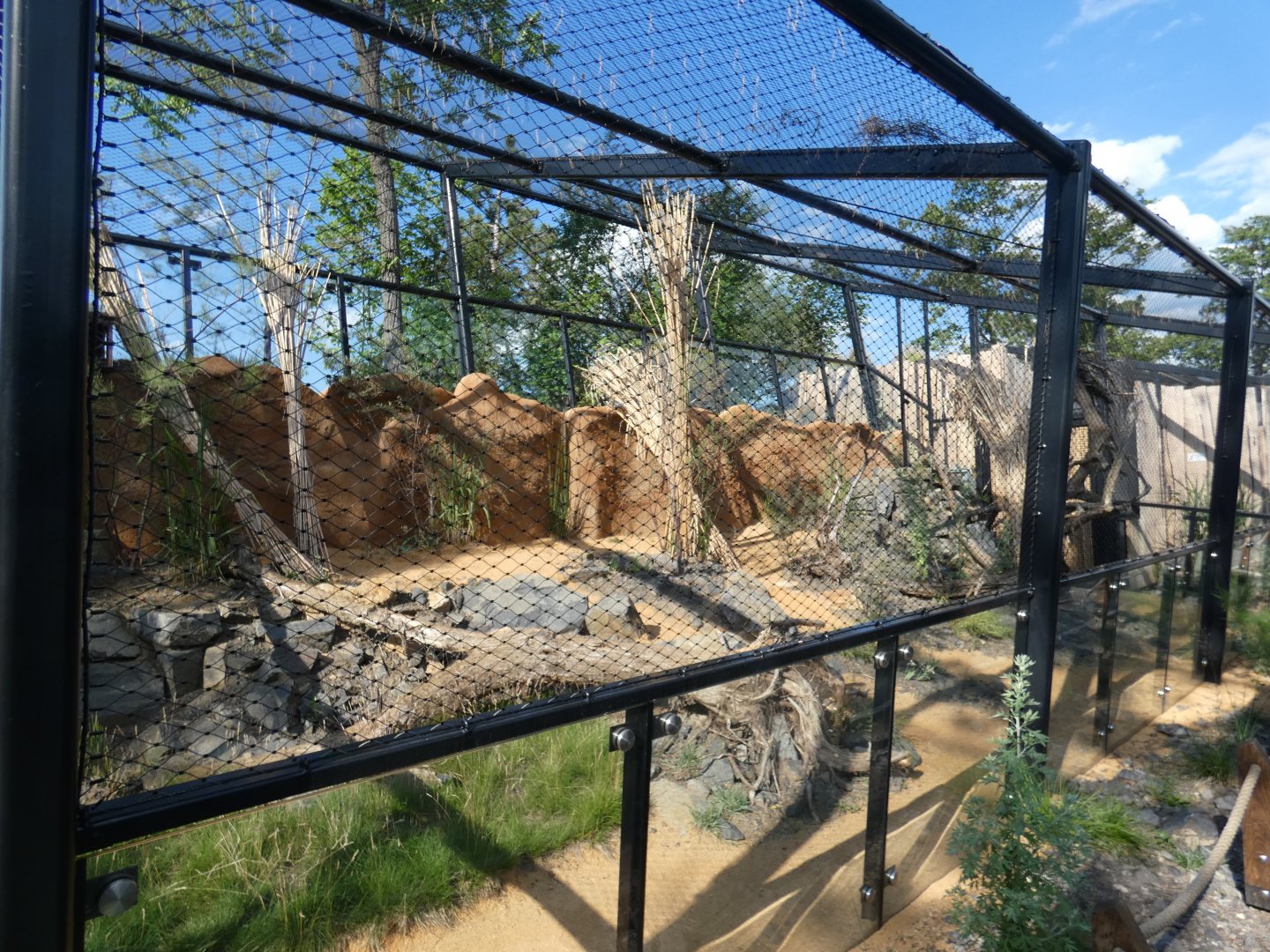Pallas's cat enclosure