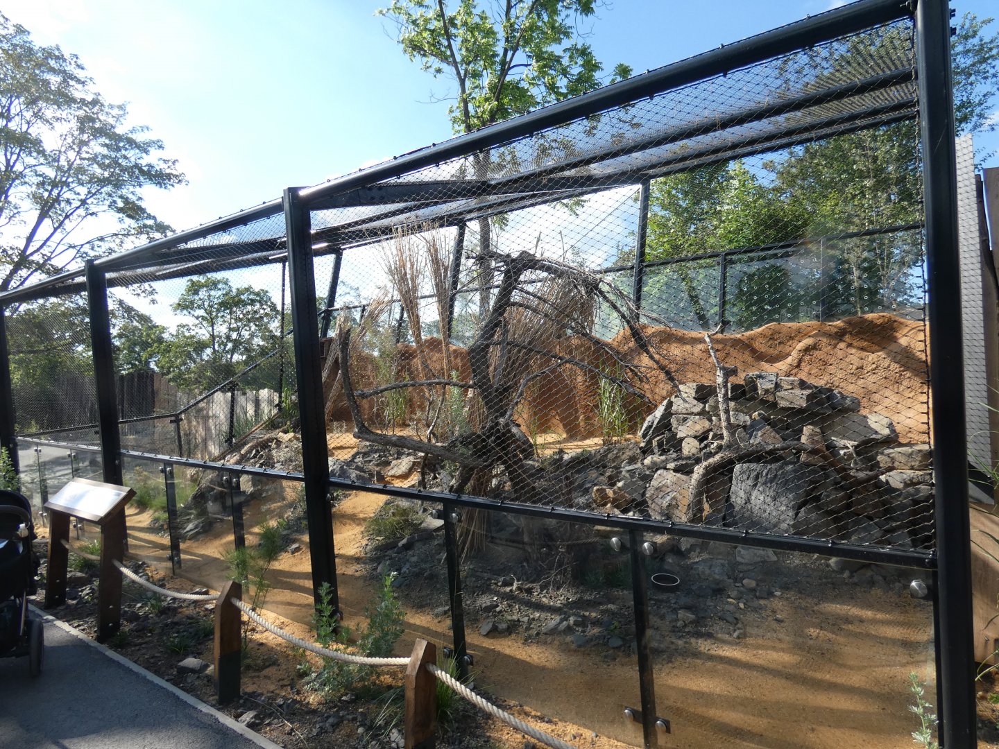 Pallas's cat enclosure