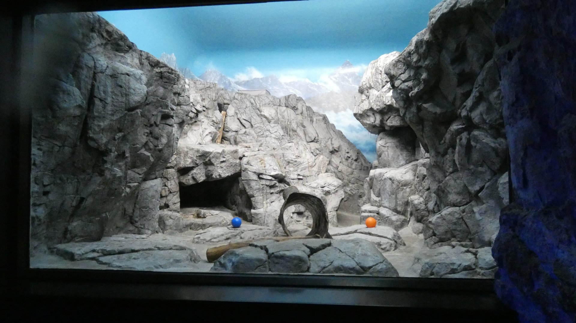 Pallas's Cat Exhibit, Night Hunters - Aug. 2021