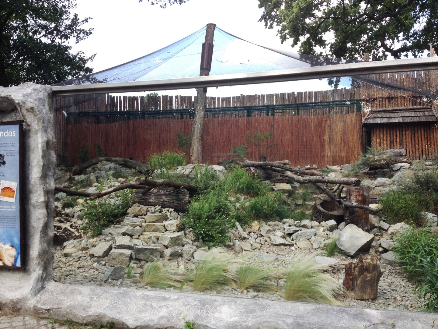 Pallas's cat exhibit