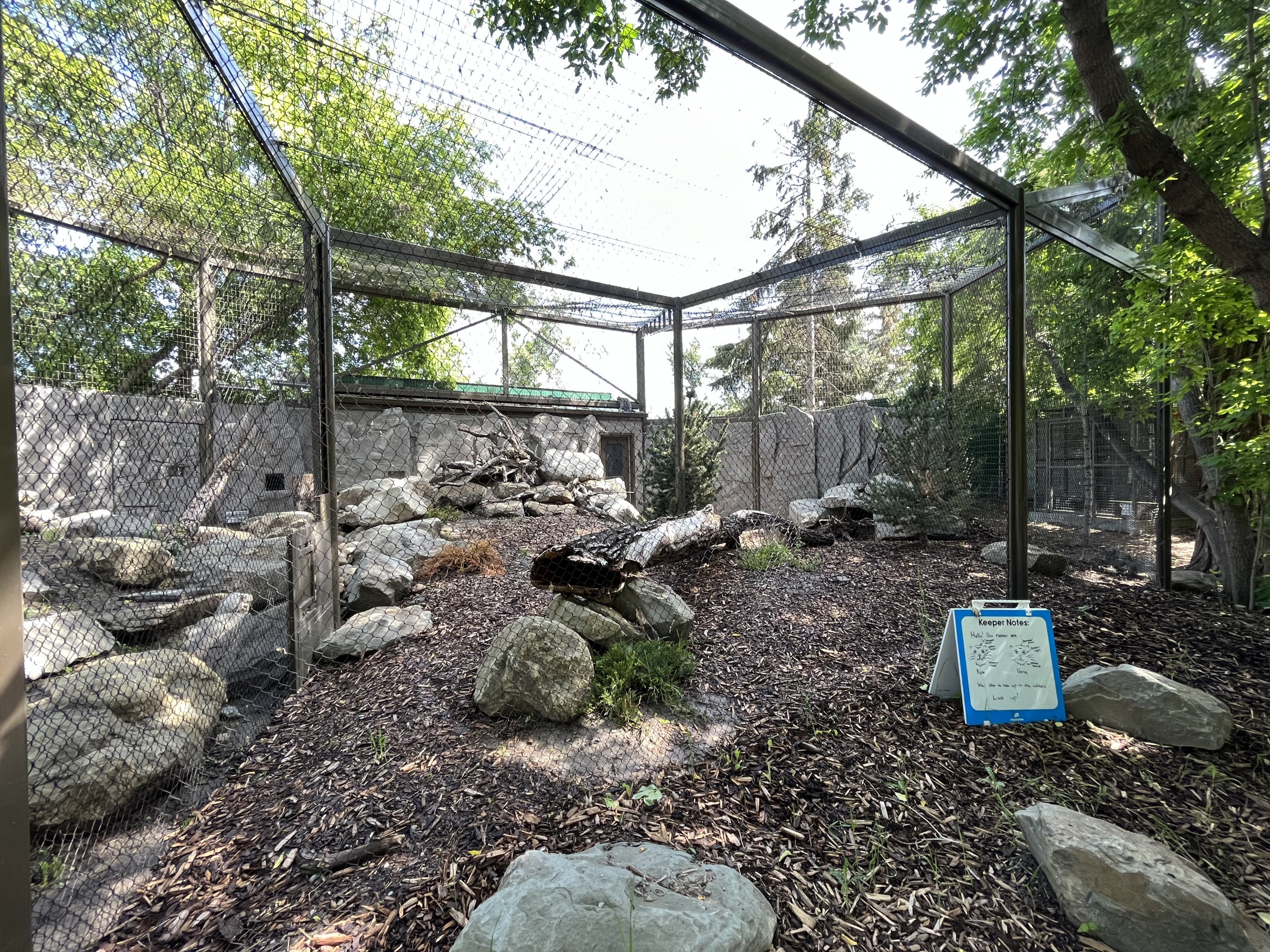 Pallas’s Cat Exhibit