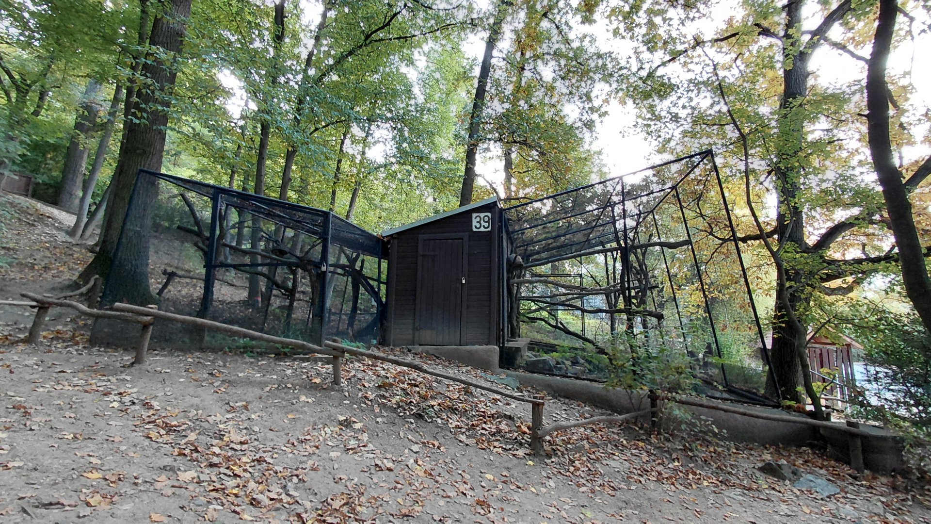 Pallas's cat exhibit