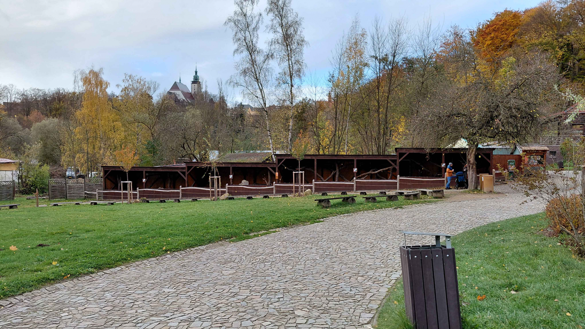 Pallas's cat + Geoffroy's cat exhibits