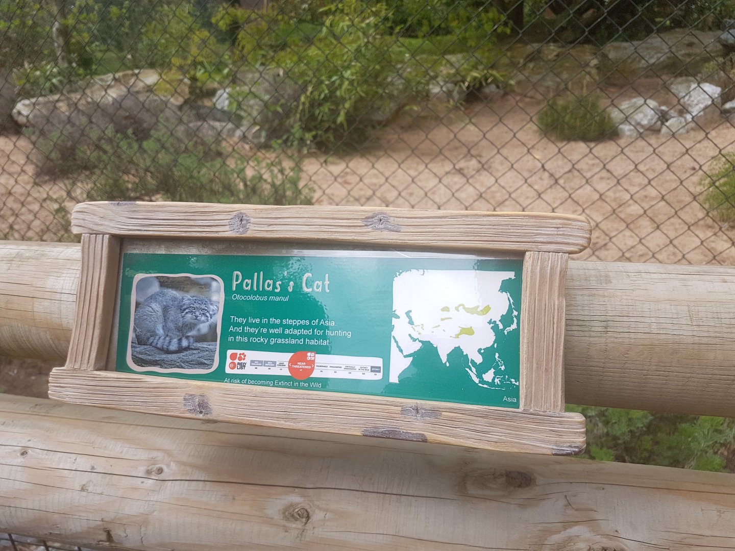 Pallas's Cat signage