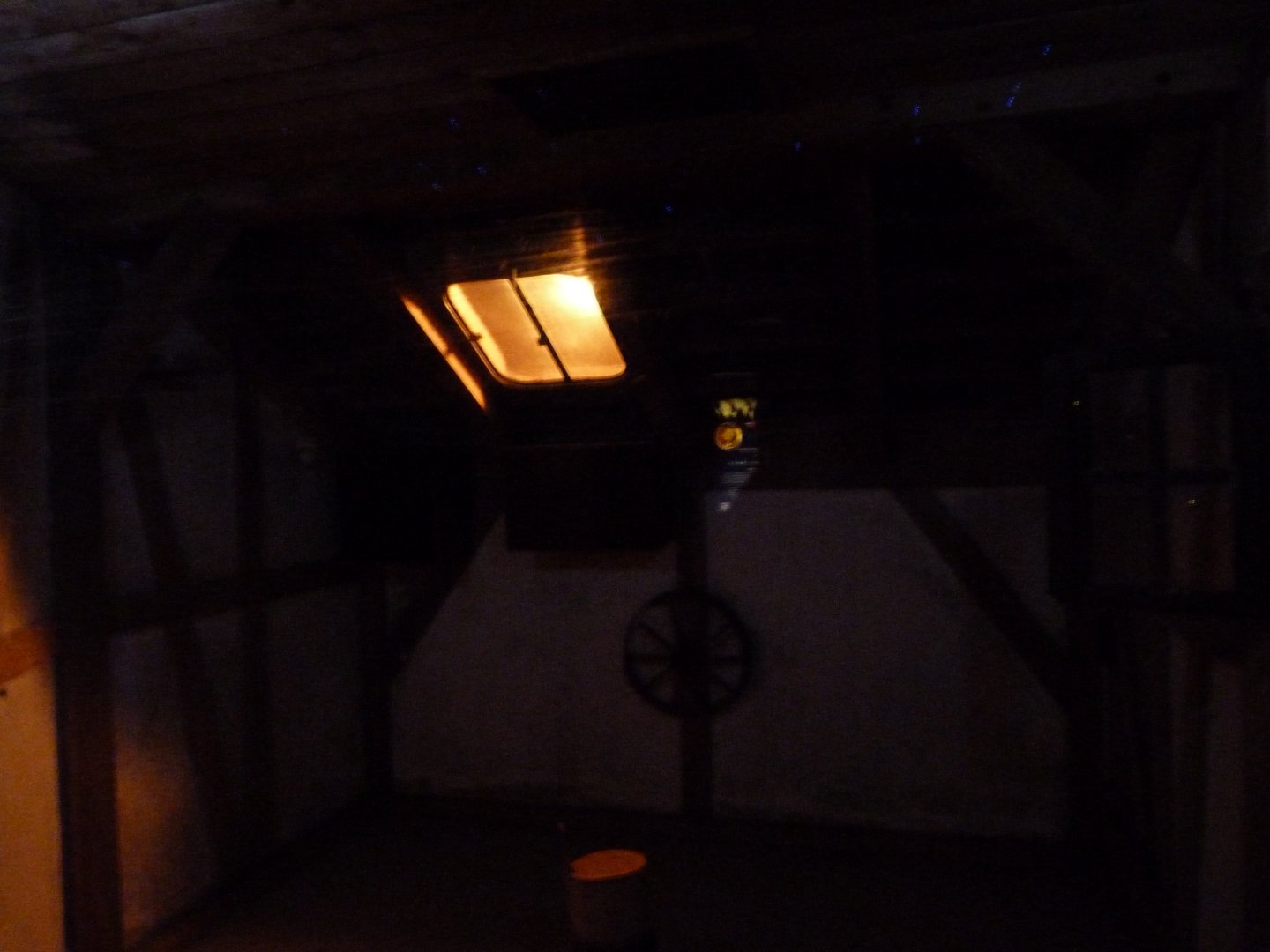 Pallas's long-tongued bat exhibit -Zoologischer Garten Berlin (2024)