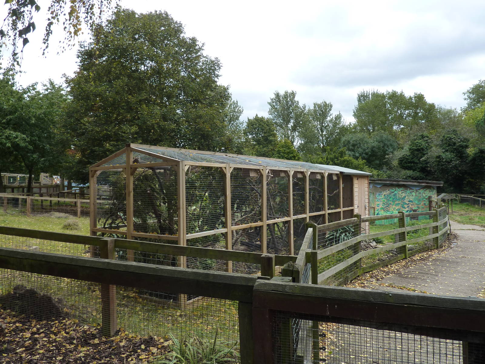 Pallas's squirrel enclosure, 5th October 2012.