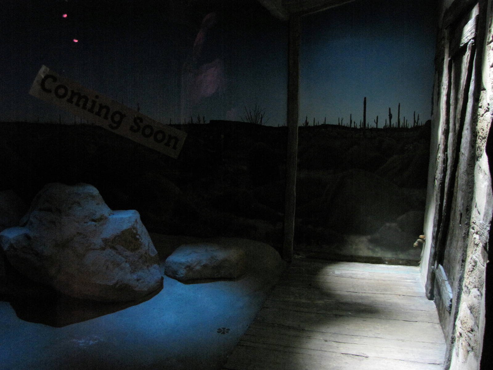 Pallid Bat Habitat - Desert Zone