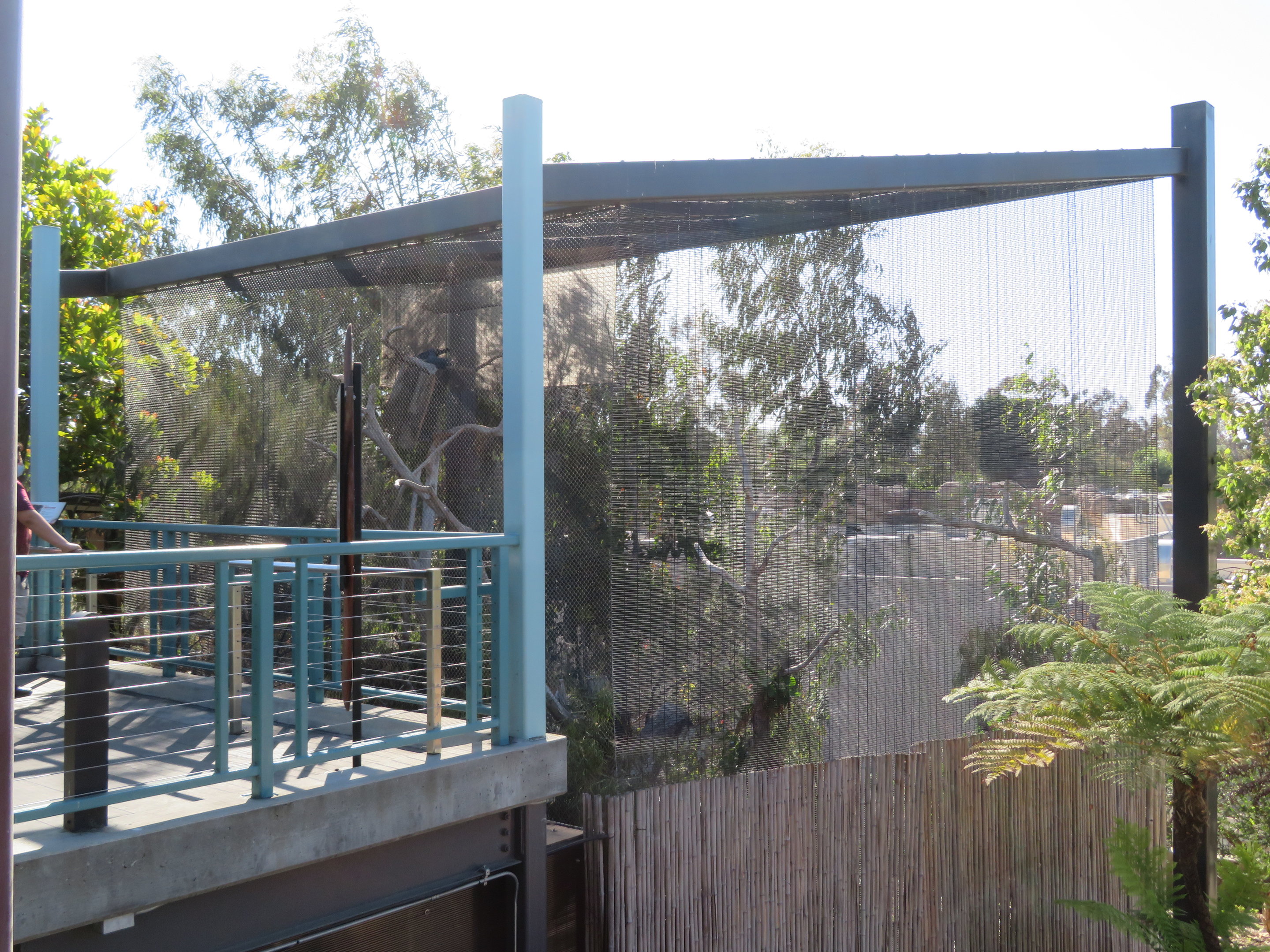 Palm Cockatoo Aviary