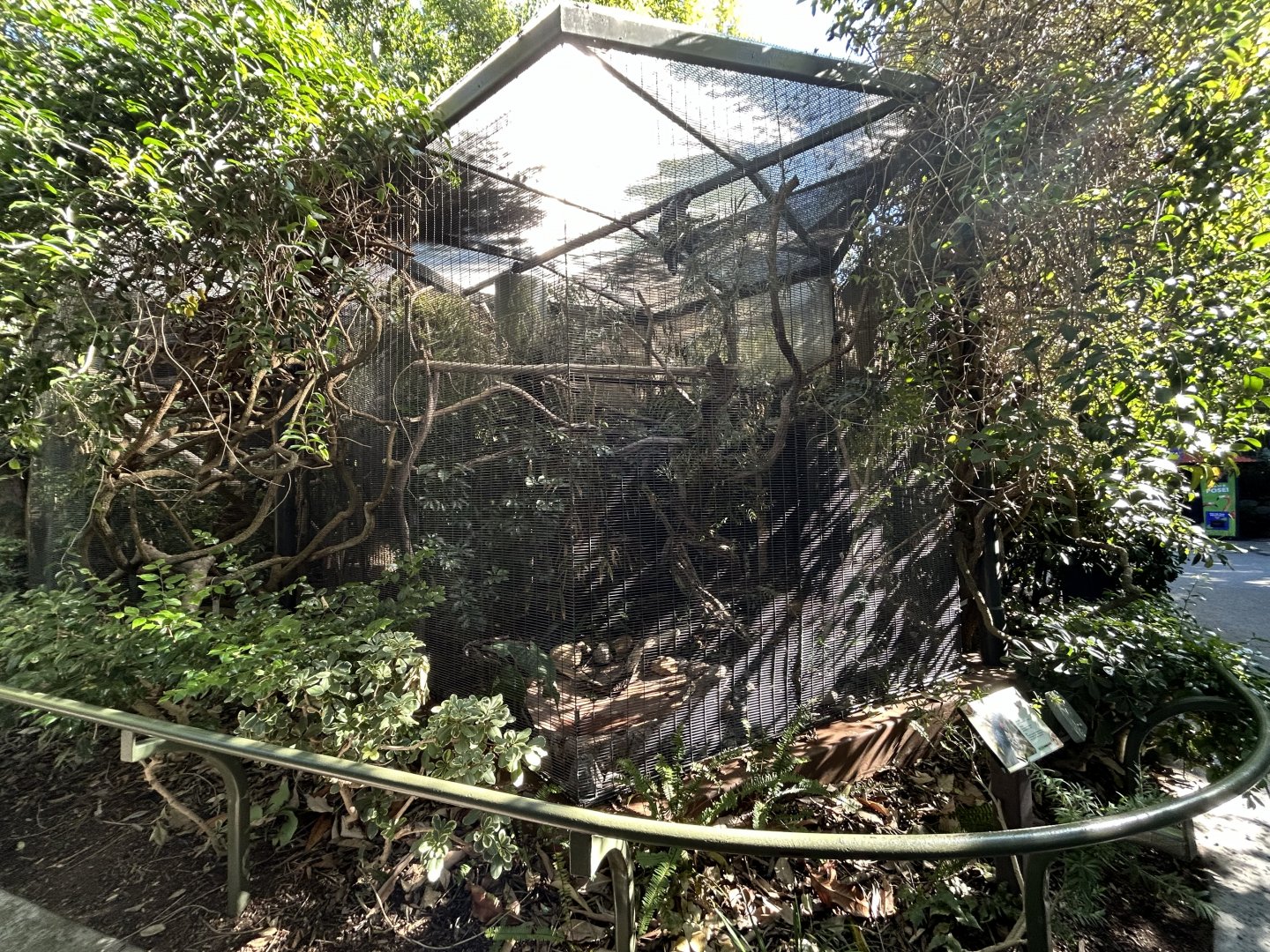 Palm Cockatoo Aviary