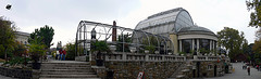 Palm house