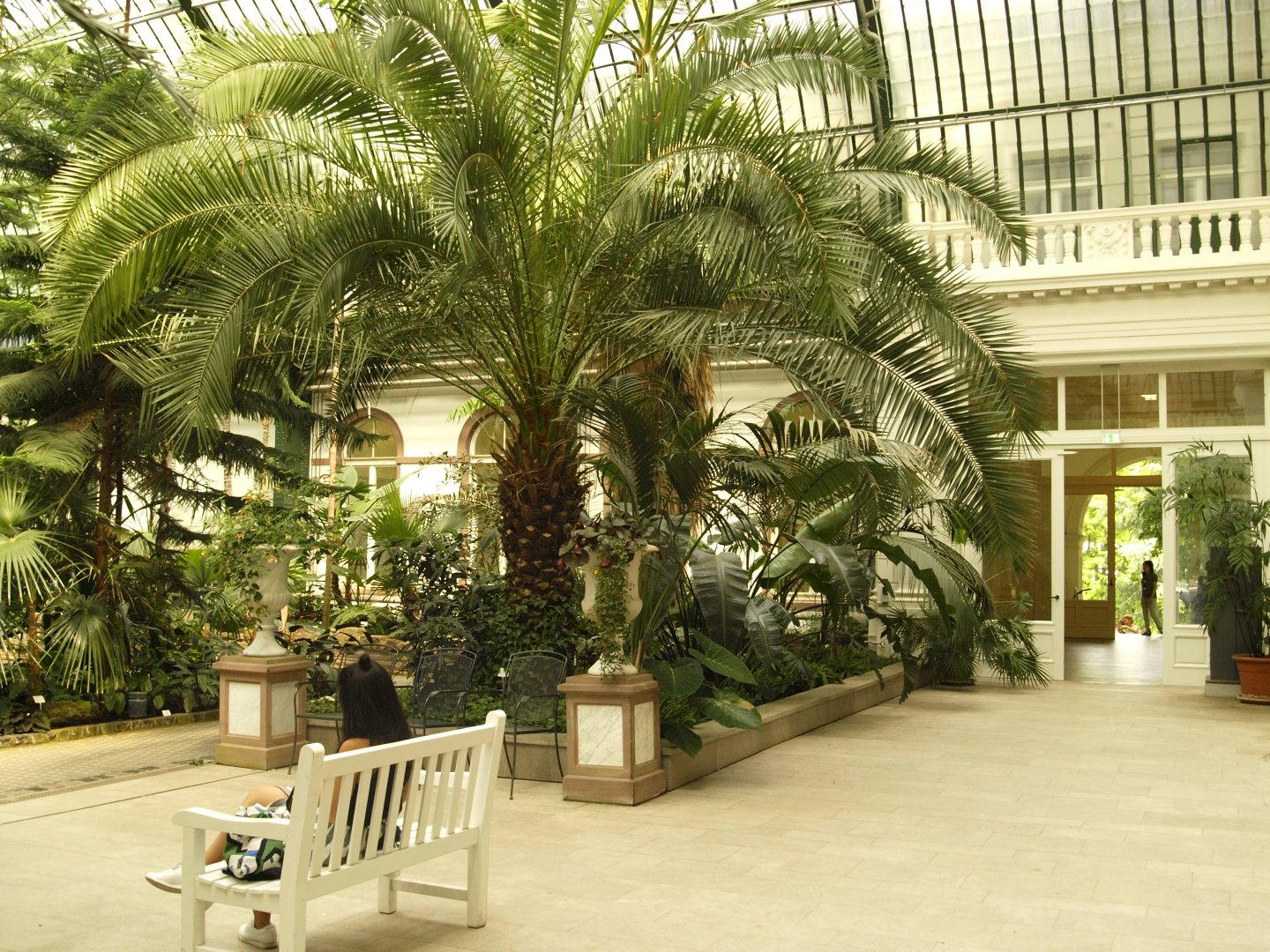 Palm house