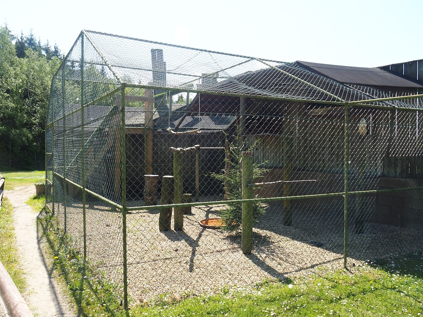 Palm-nut vulture aviary, 2023-05-19