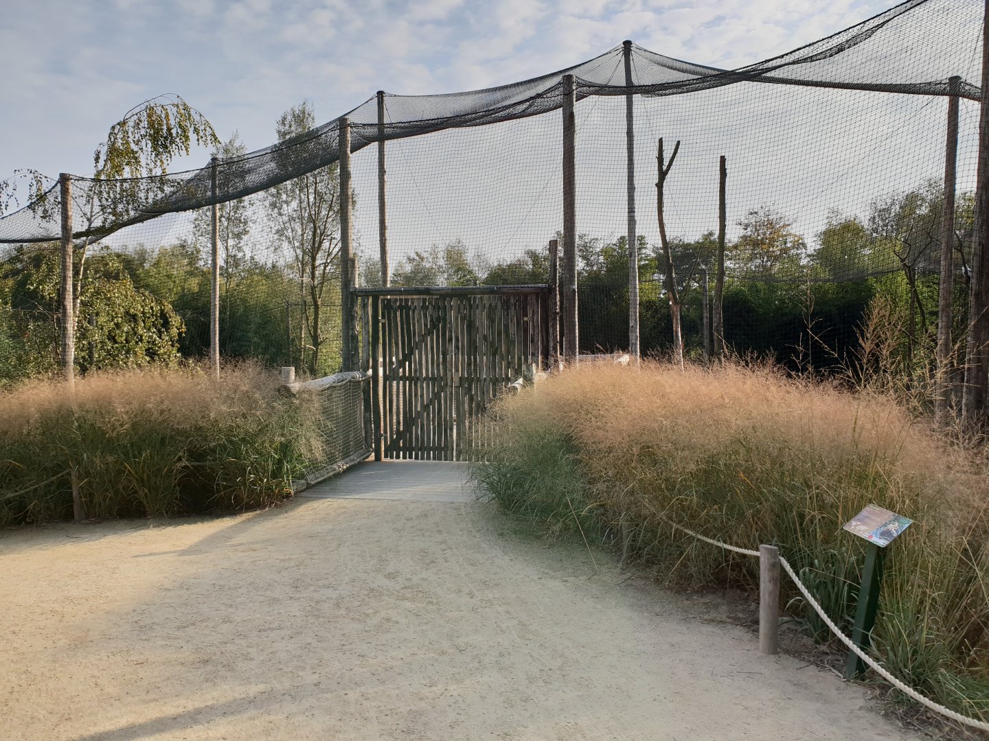 Palm-nut vulture - Crowned crane - Kirk dikdik enclosure