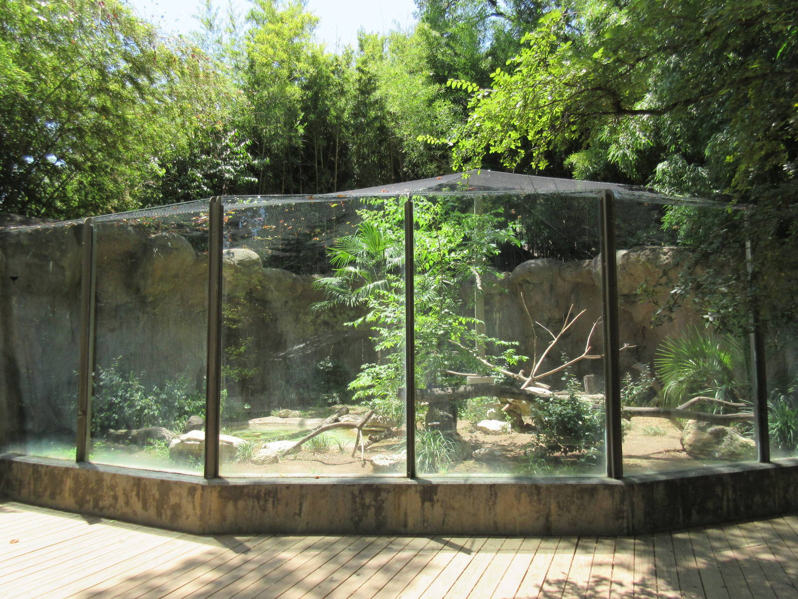 Palm Nut Vulture Exhibit (almost unheard of in U.S. zoos)