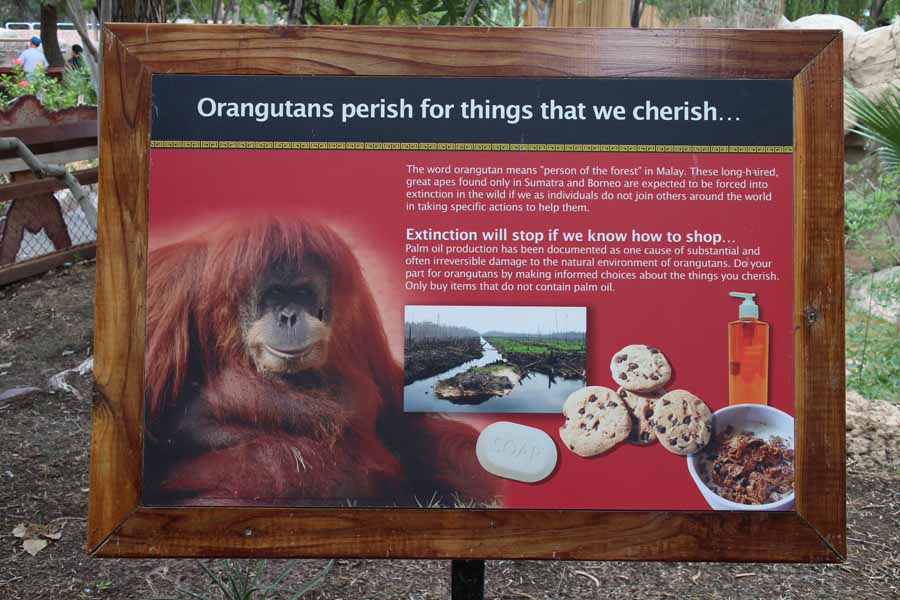 palm oil signage