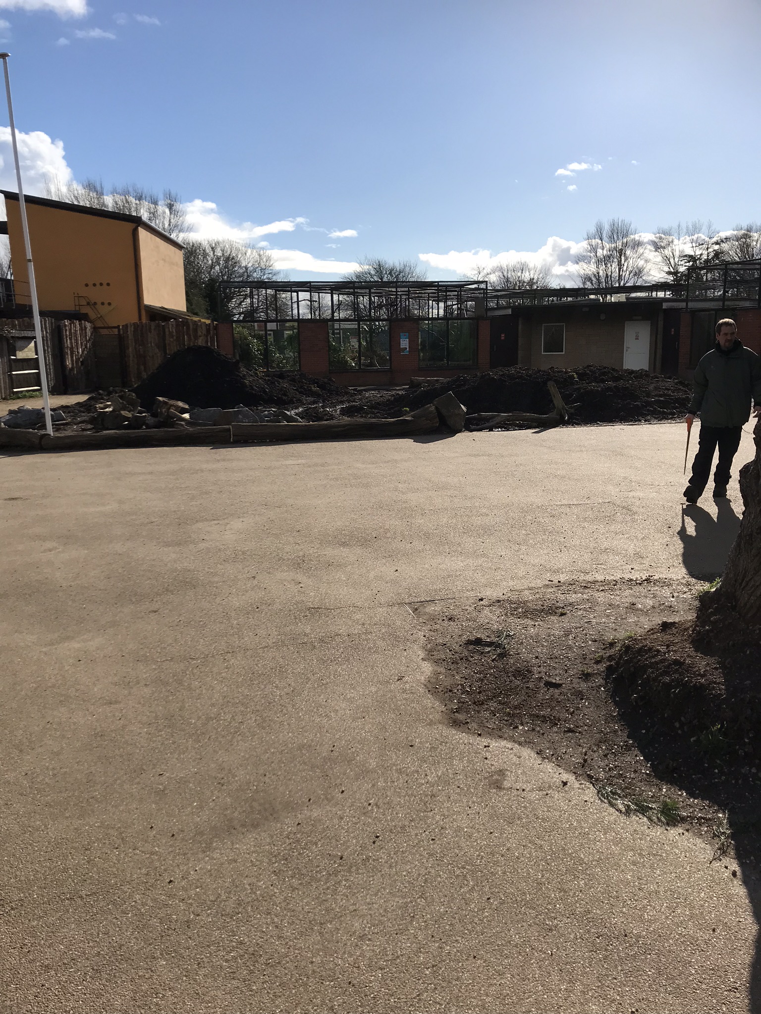 Palm oil site being Dug up