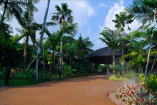 Palm Plaza, Jurong BirdPark