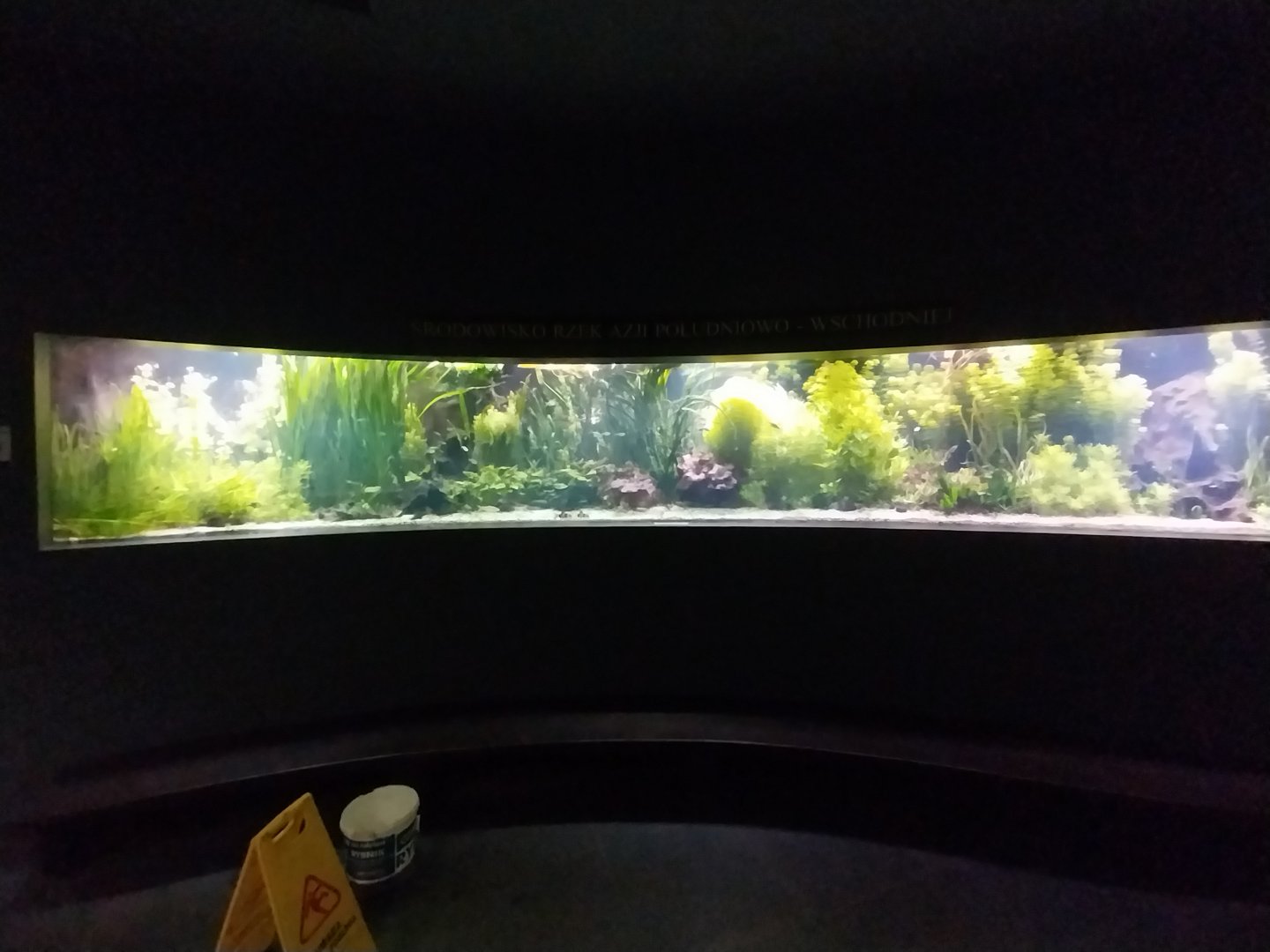 Palmiaria Miejska Gliwice - Aquarium - Southeast Asian aquarium