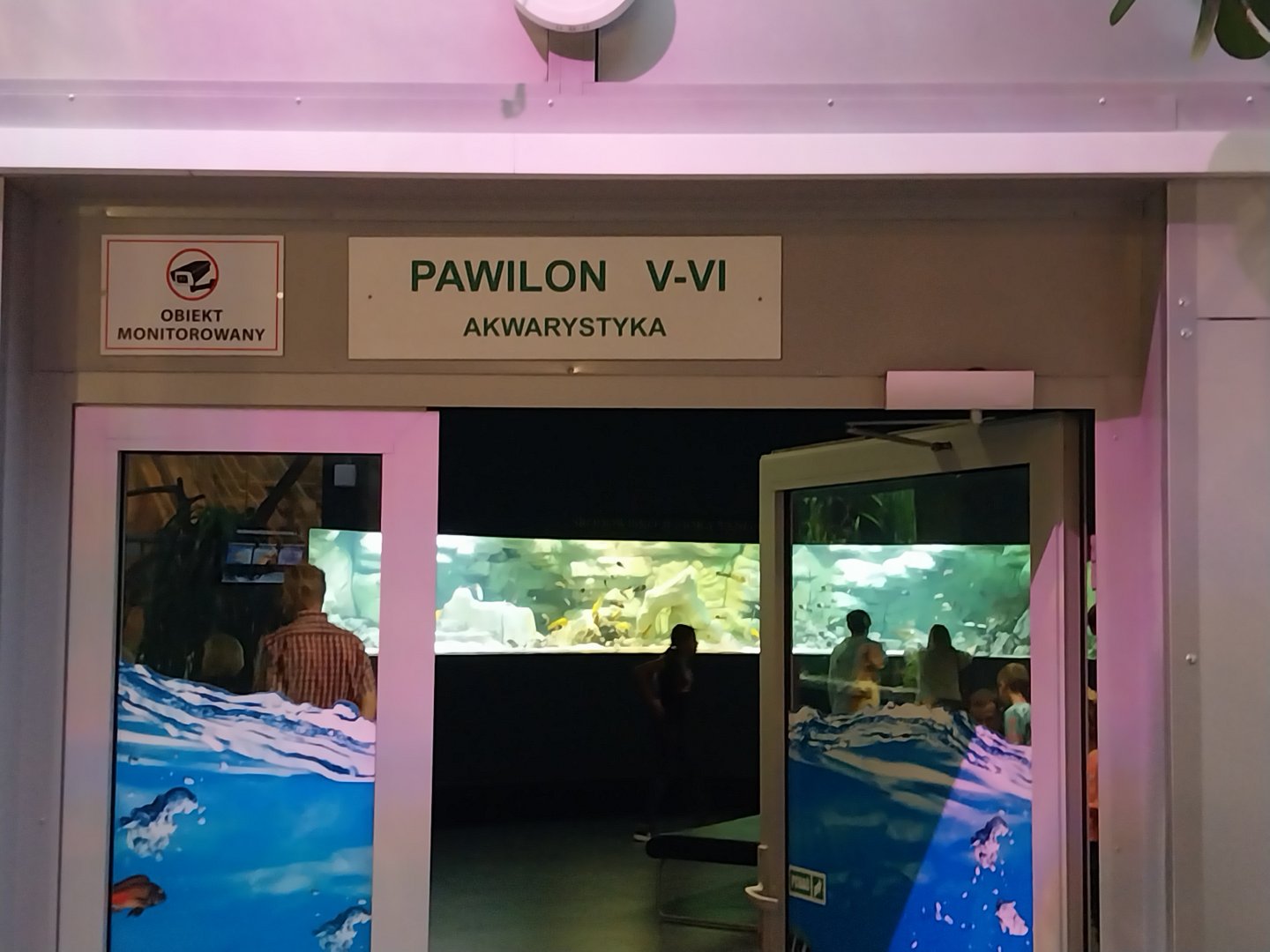 Palmiaria Miejska Gliwice - Aquarium