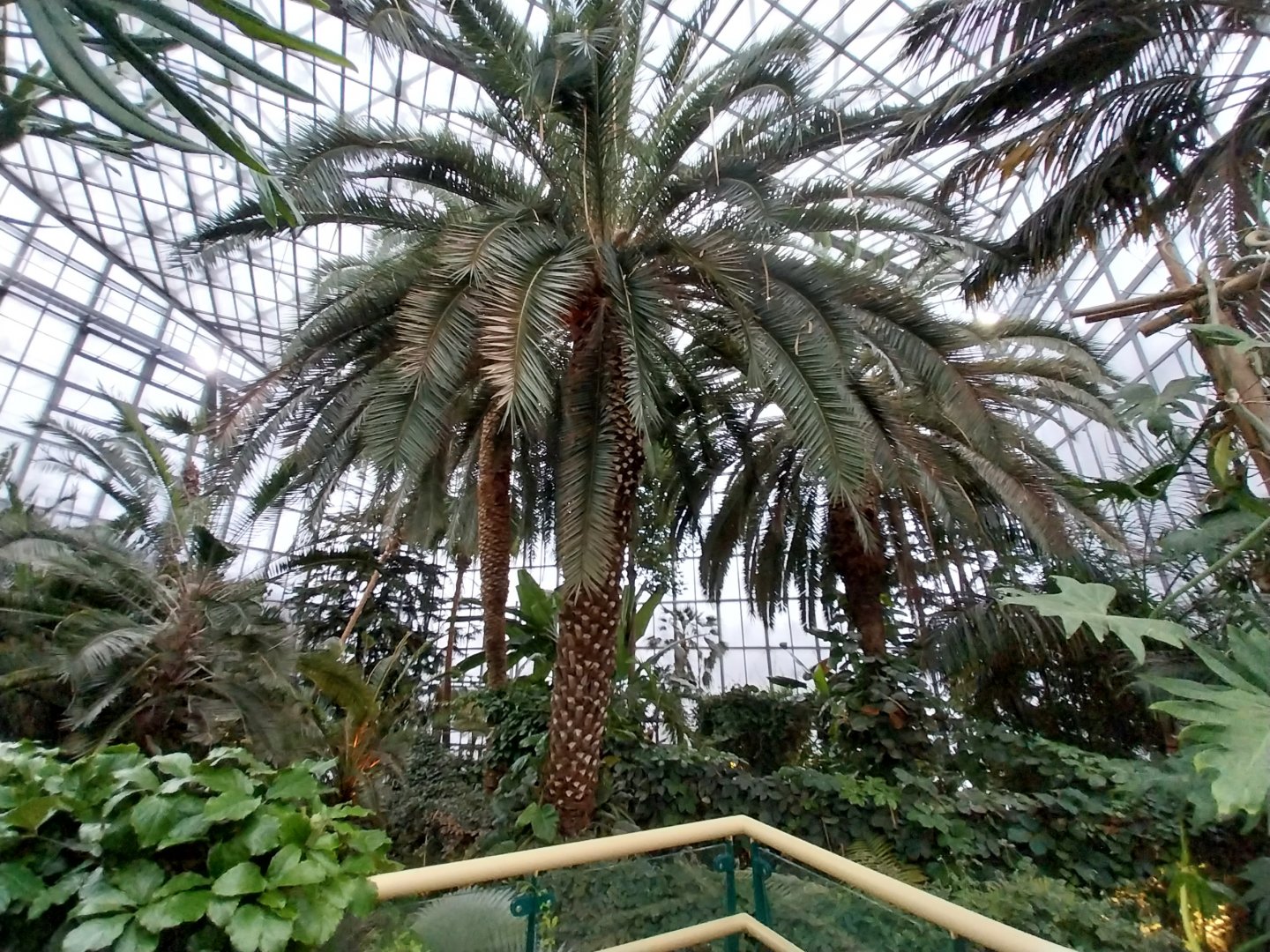 Palmiaria Miejska Gliwice - Historical Pavilion