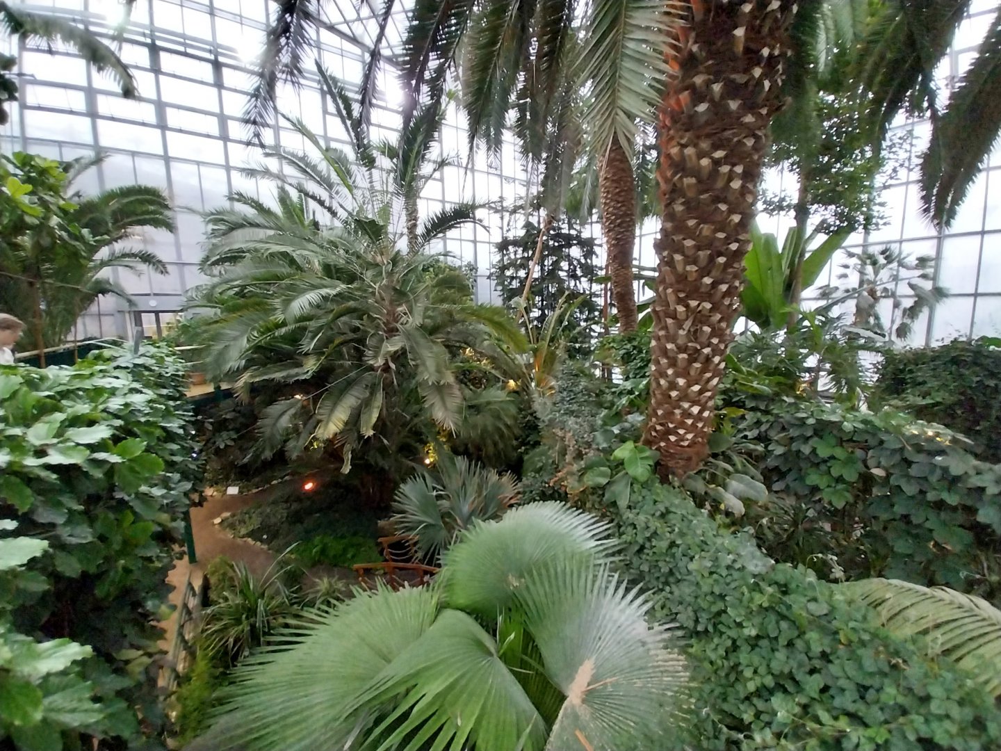 Palmiaria Miejska Gliwice - Historical Pavilion