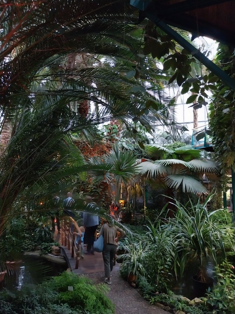 Palmiaria Miejska Gliwice - Historical Pavilion