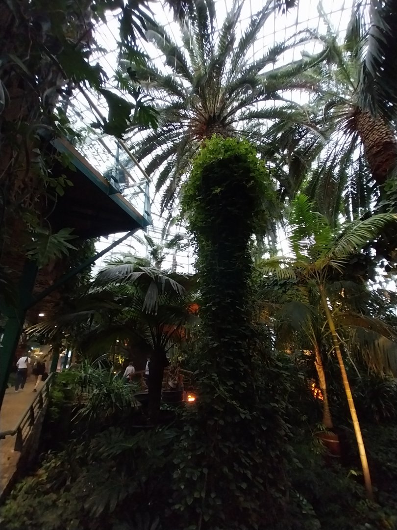 Palmiaria Miejska Gliwice - Historical Pavilion